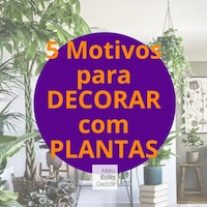 5 Motivos para Decorar com Plantas